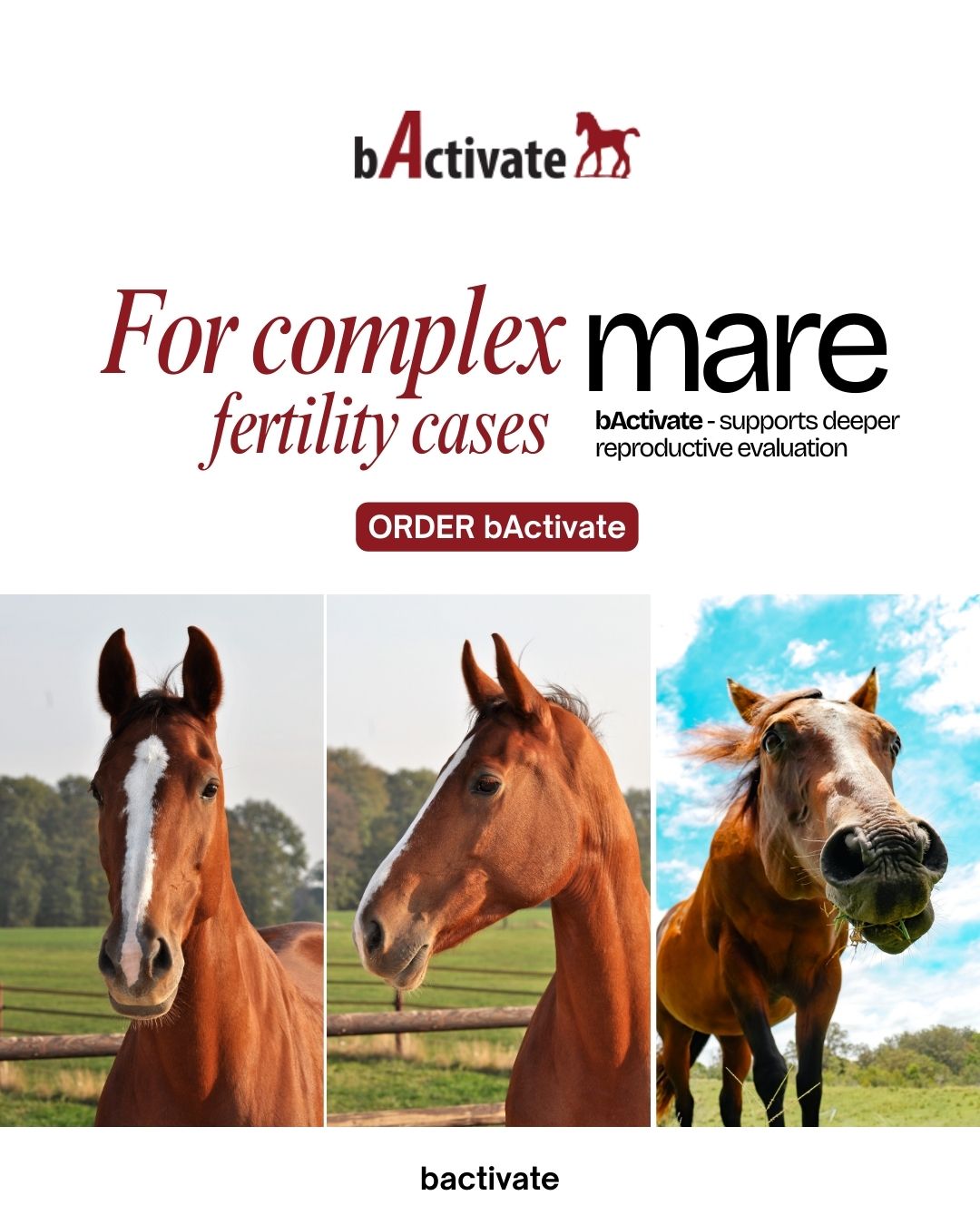 bActivate Facebook ad — For complex fertility cases