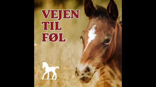 Vejen til Føl Episode 2, Latent Endometritis og dormante infektioner